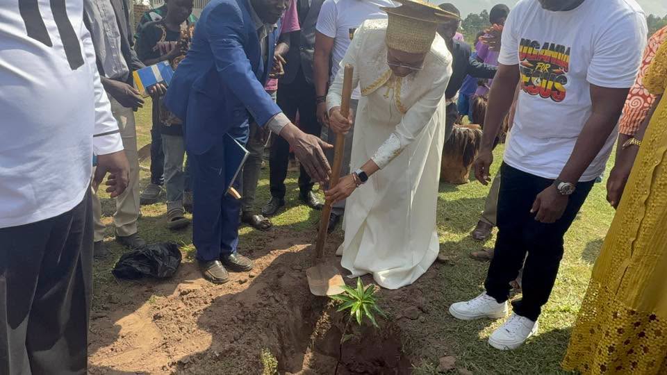 Uganda Plant Tree